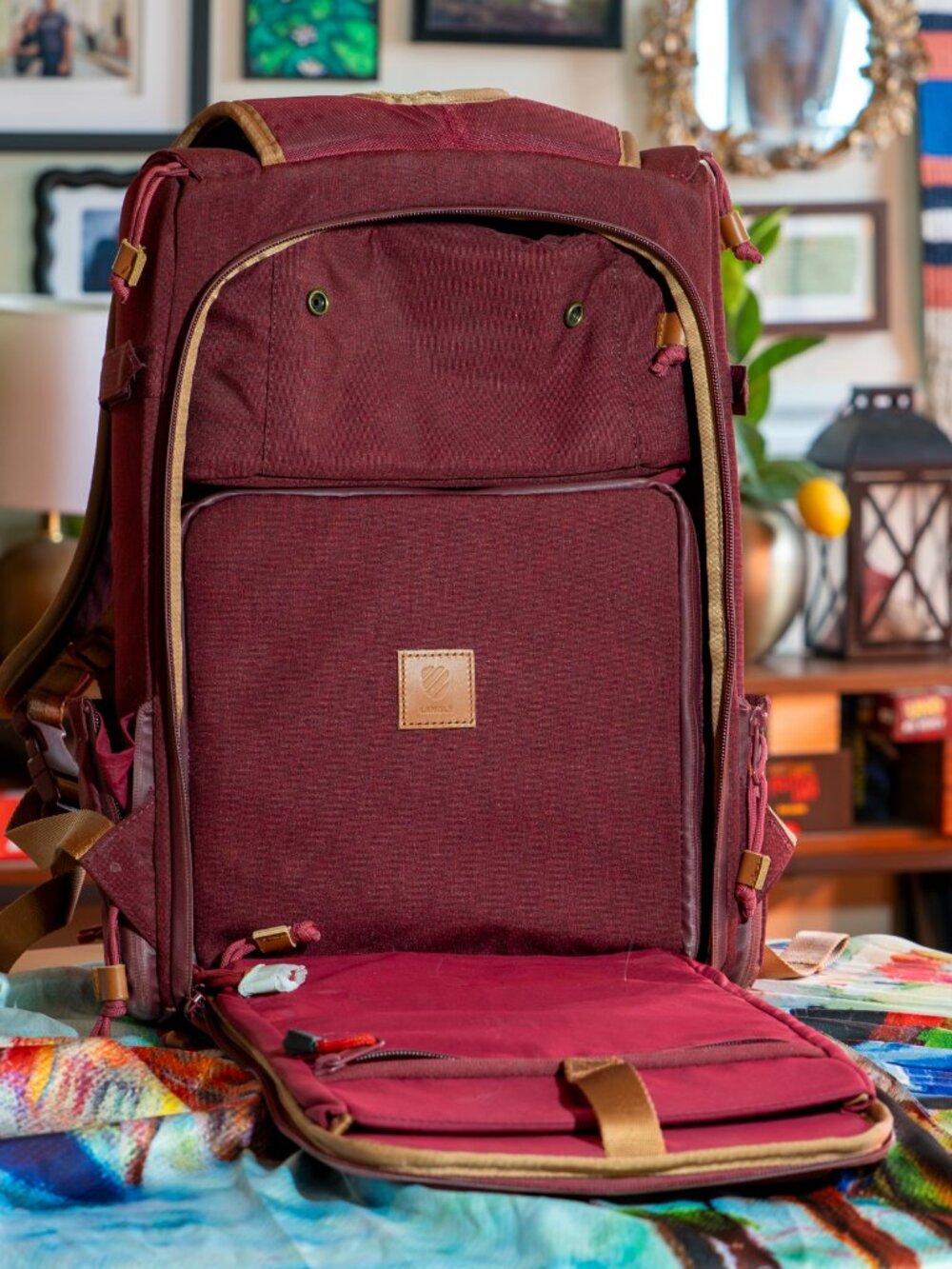 Langly Alpha Compact Camera Backpack - Picture 6 of 8
